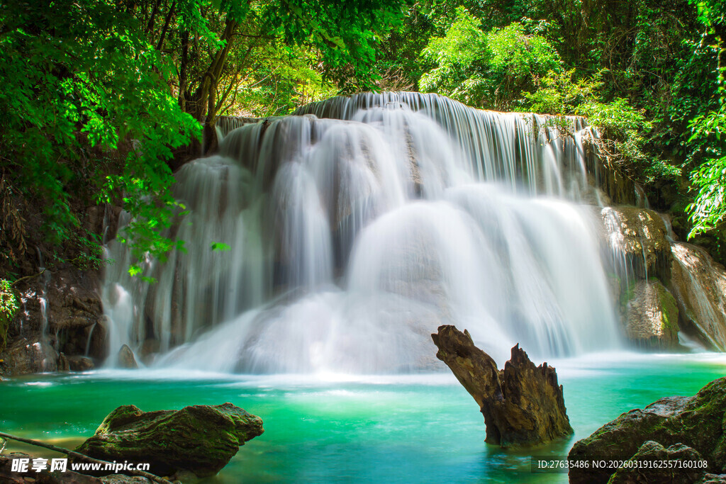 森林中的绝美瀑布景观