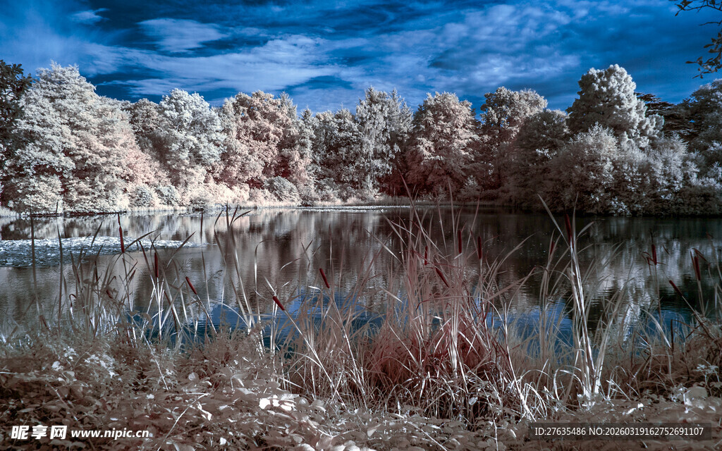 红外视角下的湖畔风景