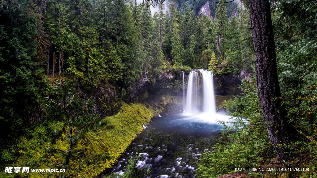 森林中的静谧瀑布景观