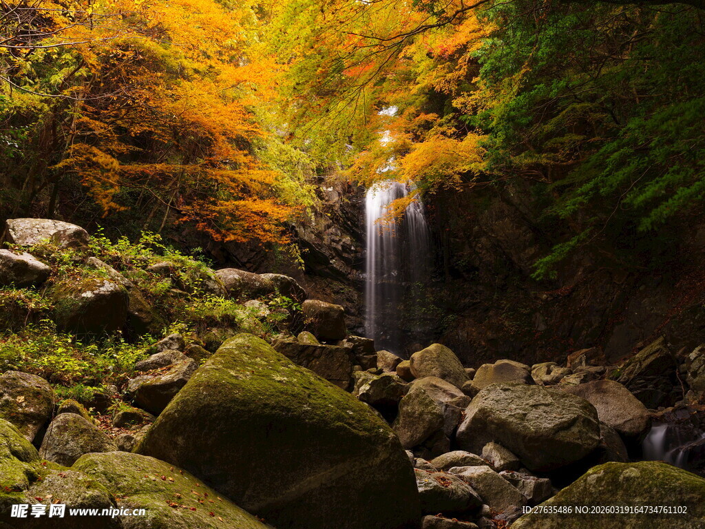 秋日山林中的清幽小瀑布
