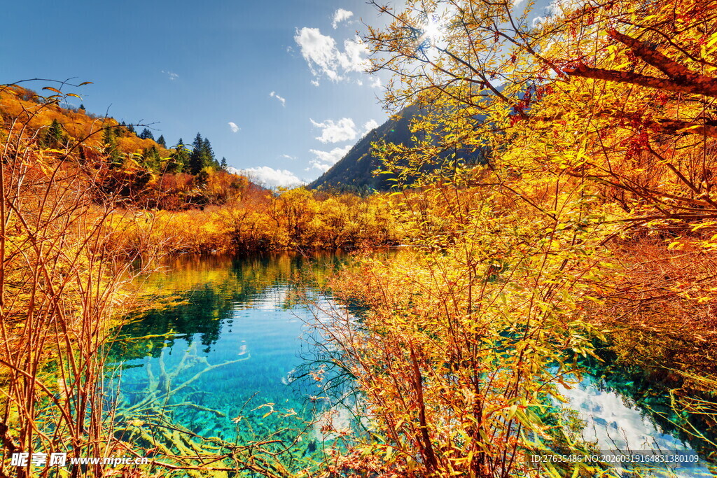 秋日山林中的清澈湖泊