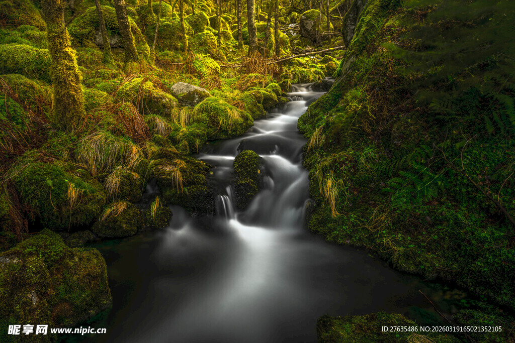 林间溪流潺潺