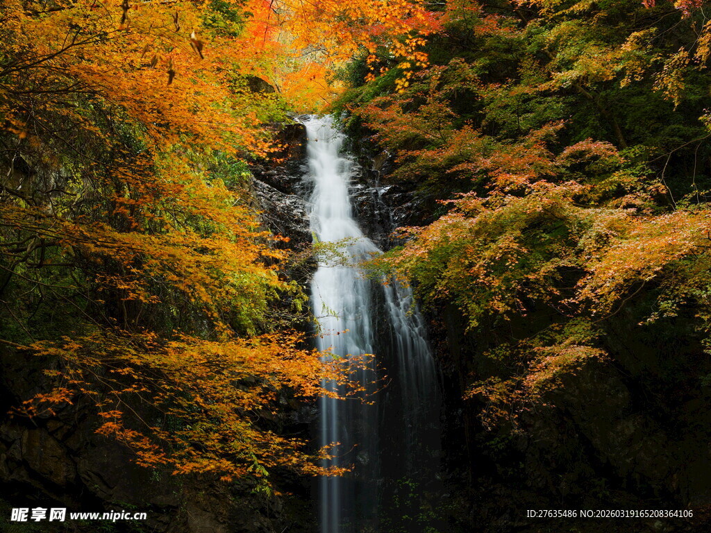 秋日山林中的美丽瀑布