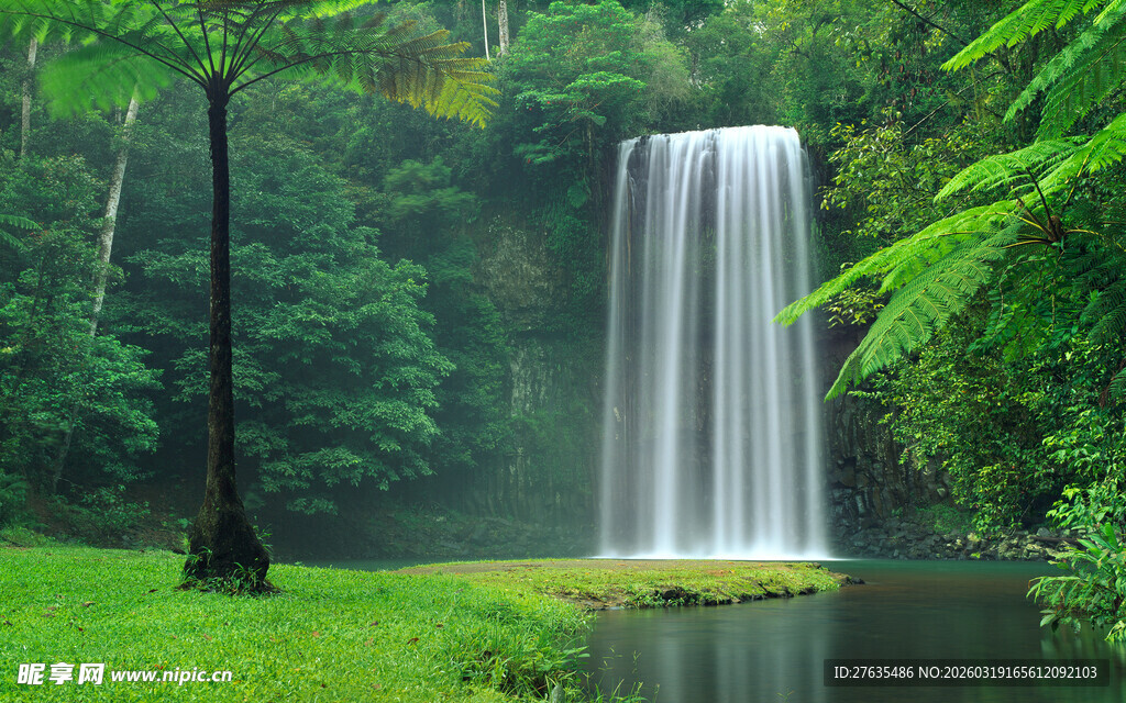 森林中的壮丽瀑布景观