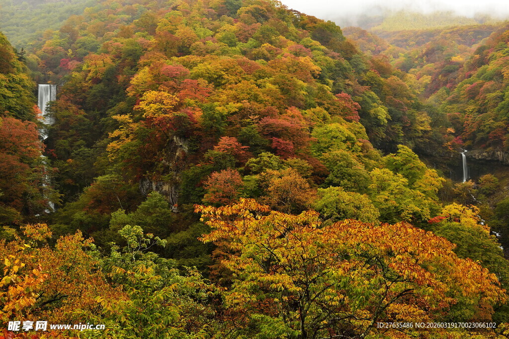 秋日山林斑斓美景