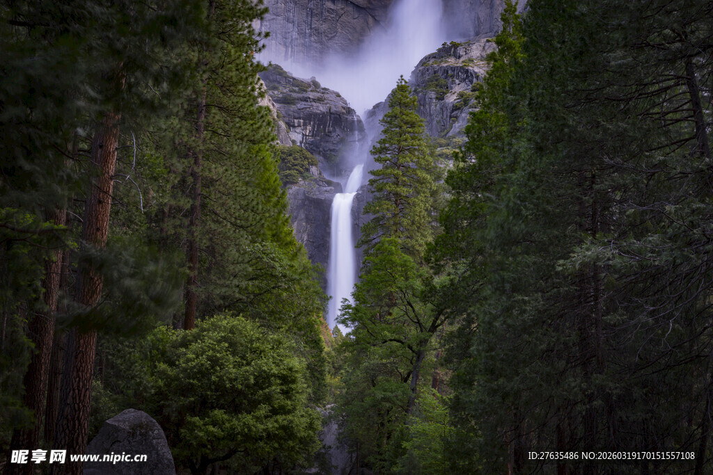 森林中的壮丽瀑布景观