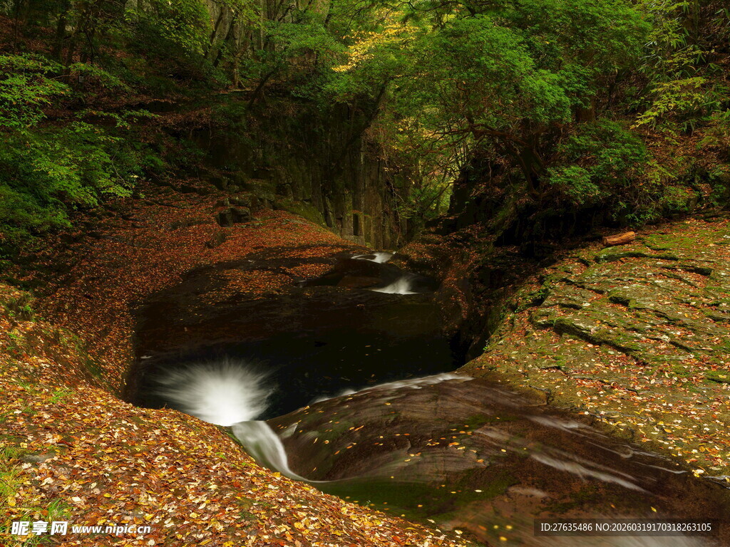 山间溪流的静谧自然景致