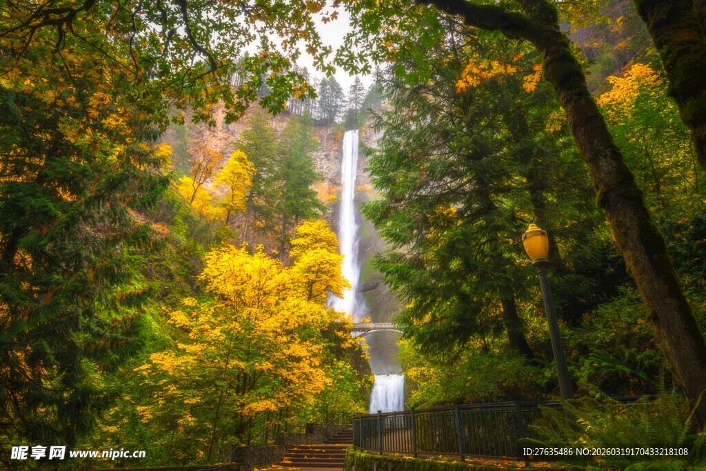 秋日山林中的隐秘瀑布