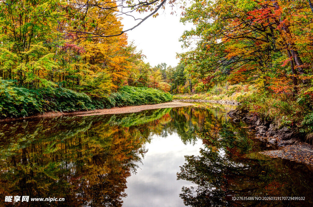 秋日溪边绚烂美景