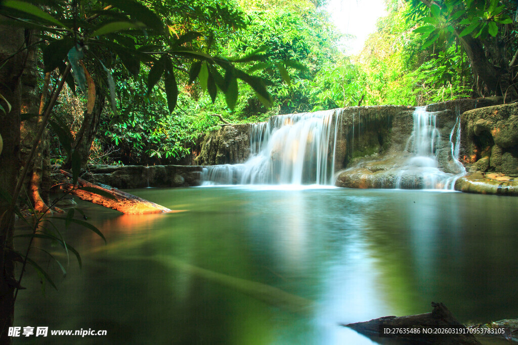 森林中的静谧瀑布景观