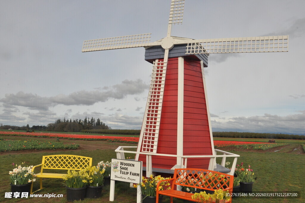 田野中的红色风车景观