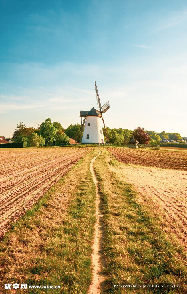 田野中的古老风车