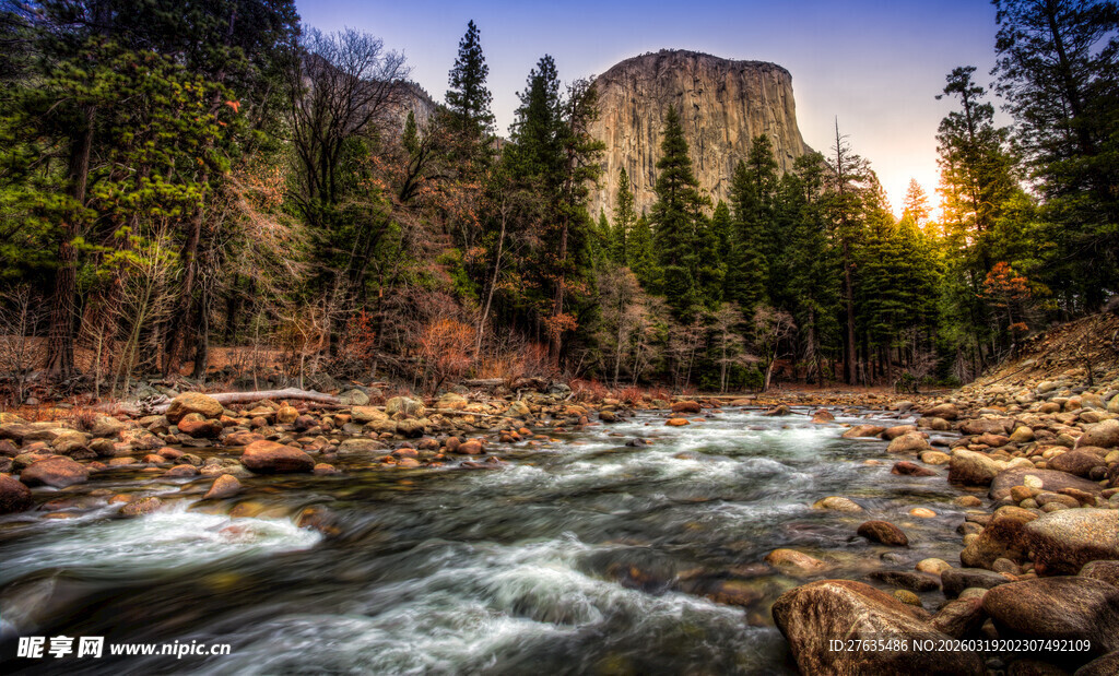 山间溪流旁的壮丽自然景观