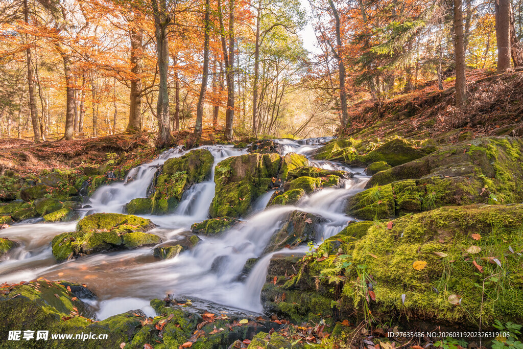秋日林间潺潺的灵动小瀑布