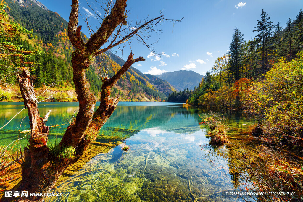 秋日山林中的清澈湖泊