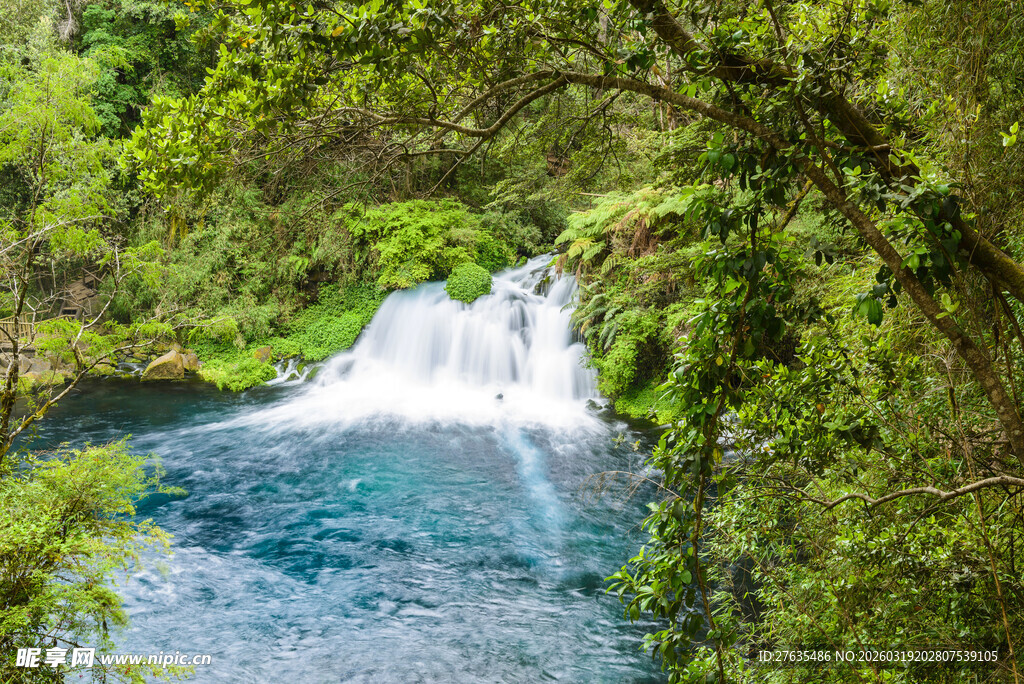 森林中的美丽蓝色瀑布