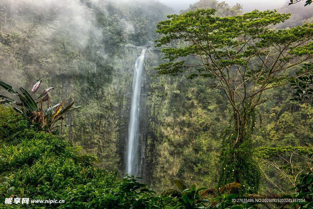 山间瀑布下的葱郁景致