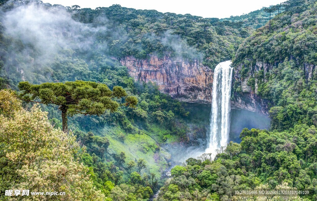壮丽山谷中的宏伟瀑布