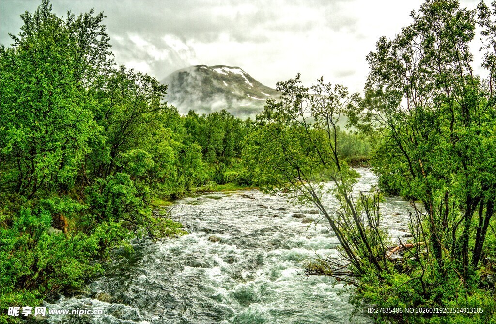 山间湍急溪流穿茂林