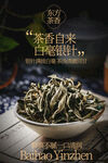 白毫银针茶叶宣传海报