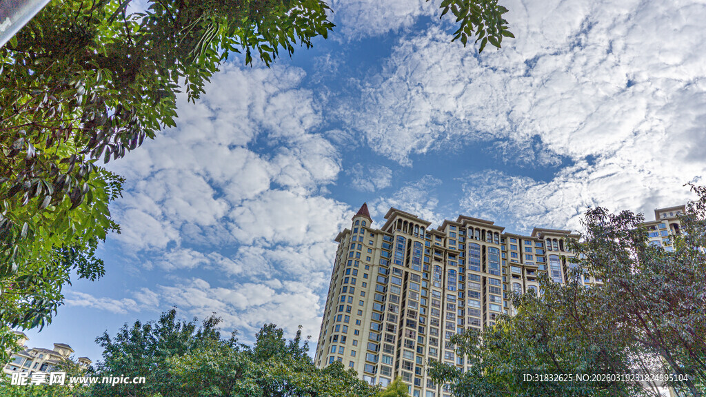 绿树环绕的高层住宅楼