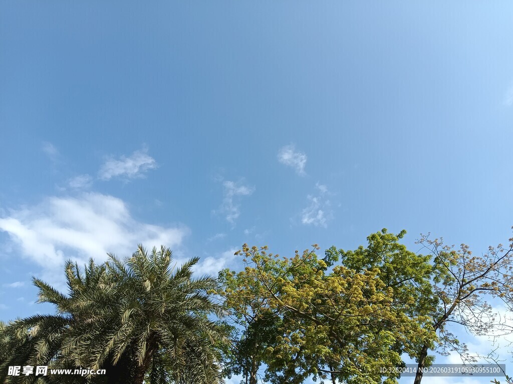 蓝天绿树风景