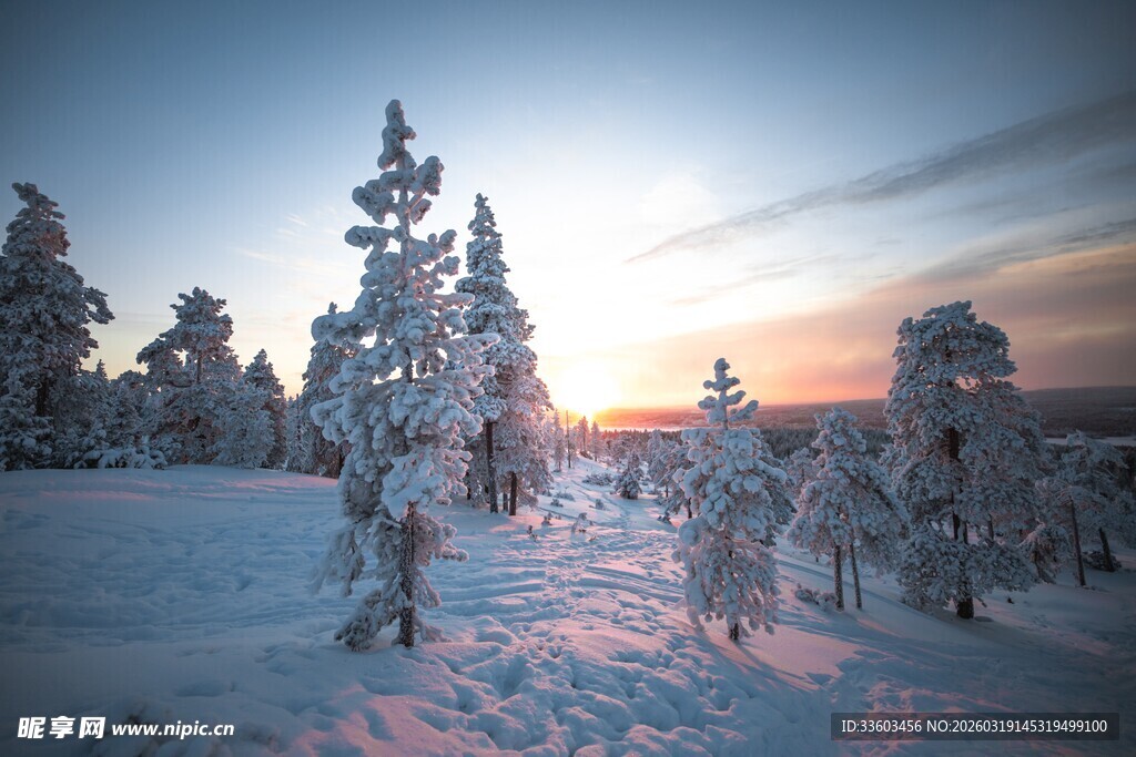 雪后森林日出美景
