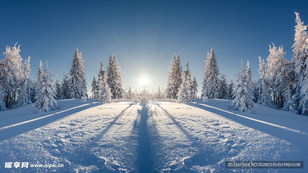 冬日雪景中的林间雪道