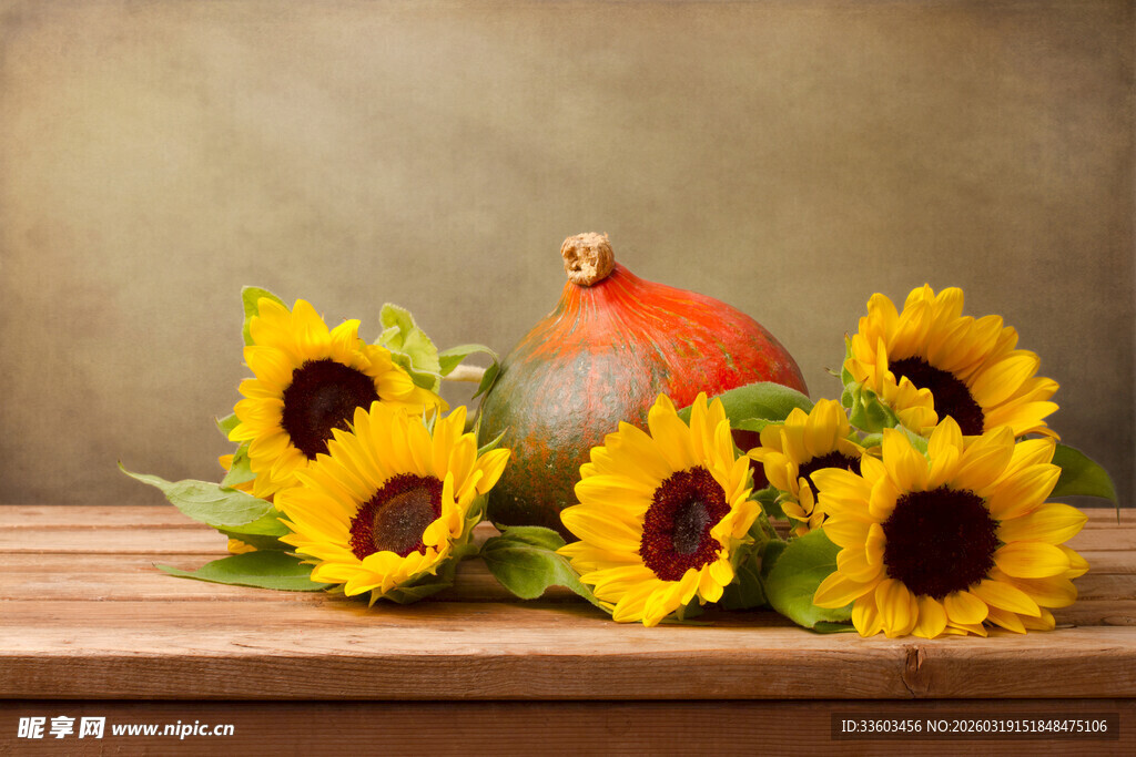 木桌上的向日葵与南瓜