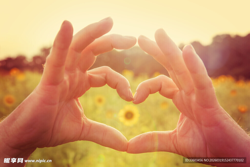 双手比心于灿烂花田