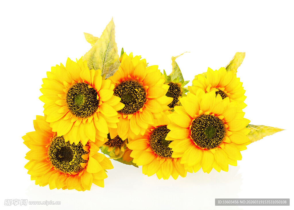 一束灿烂的小向日葵花束