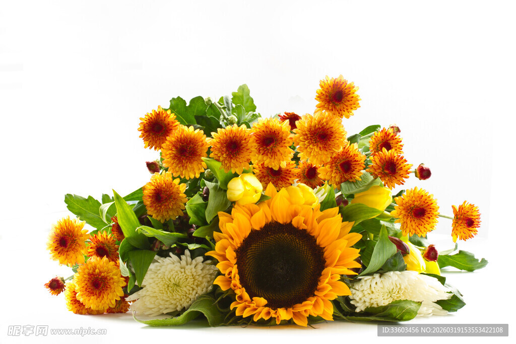 鲜艳向日葵花束