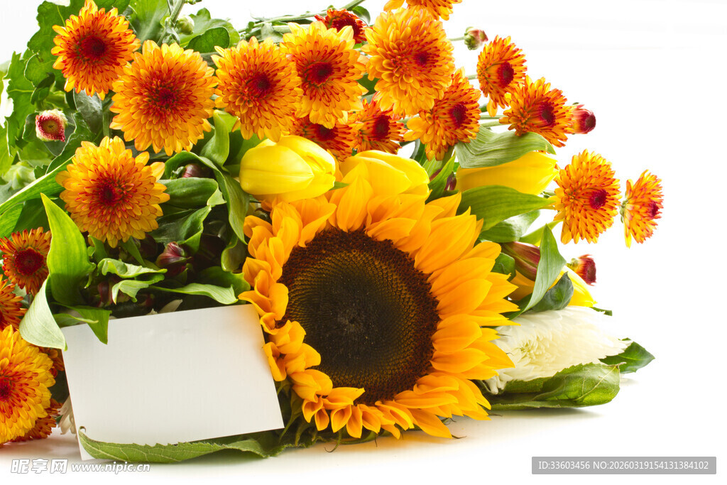 多彩向日葵花束