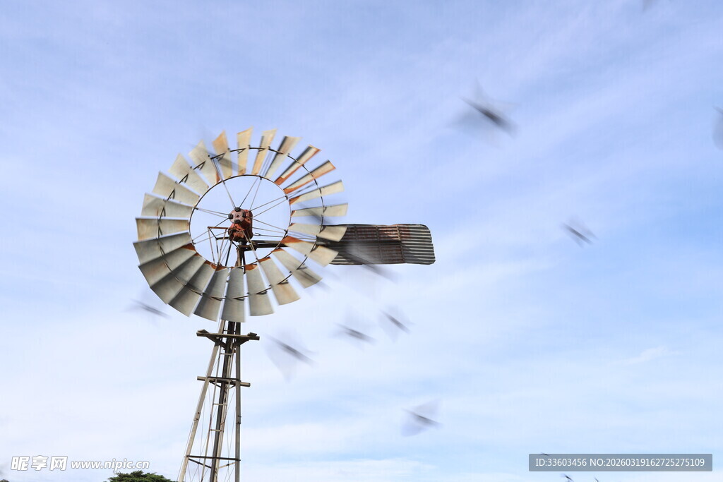 田野中的老式风车