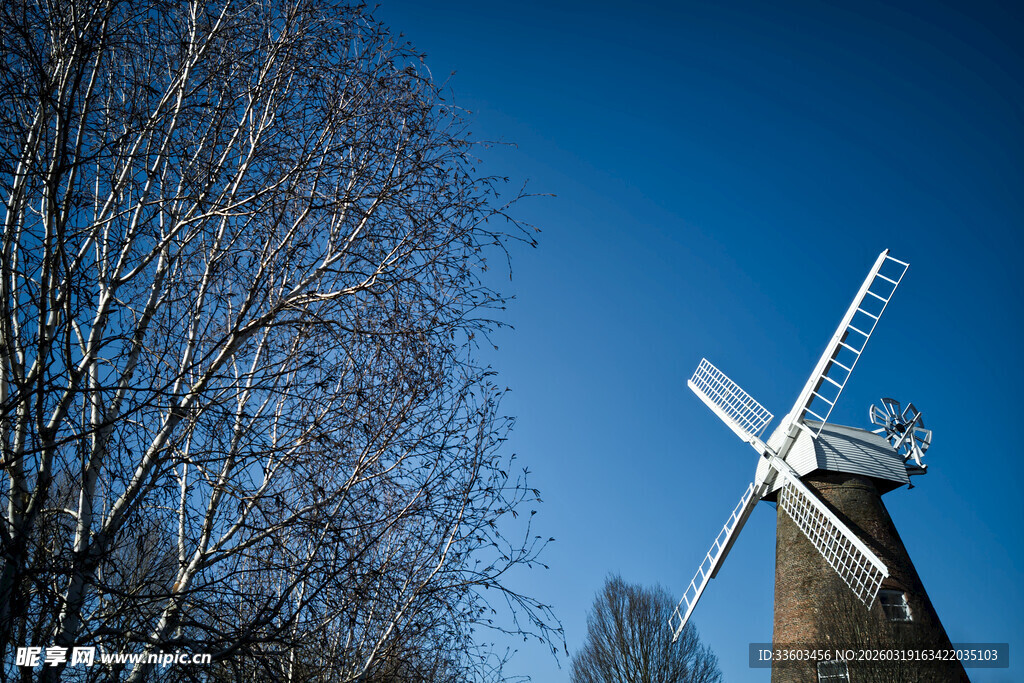 户外风车与光秃树木景观
