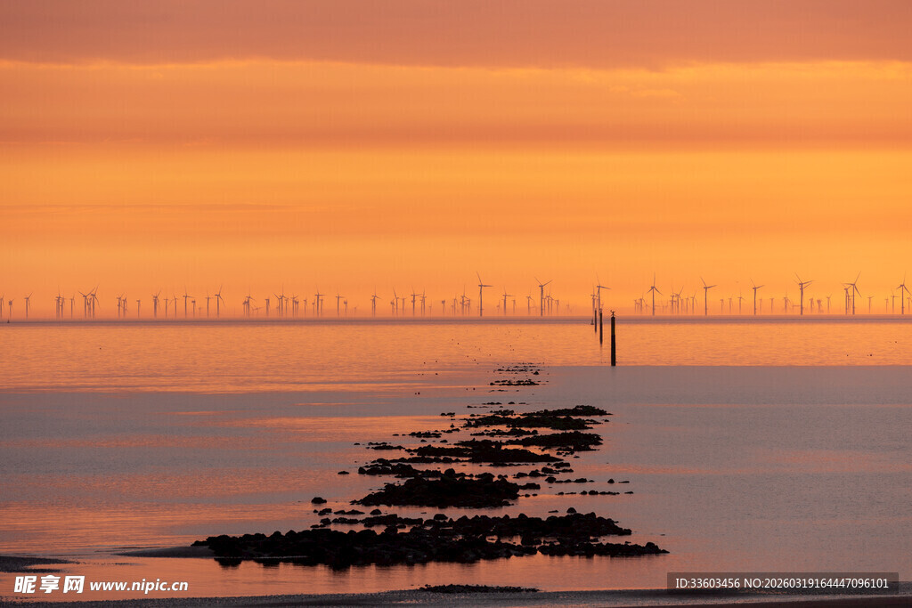 夕阳下的跨海大桥美景