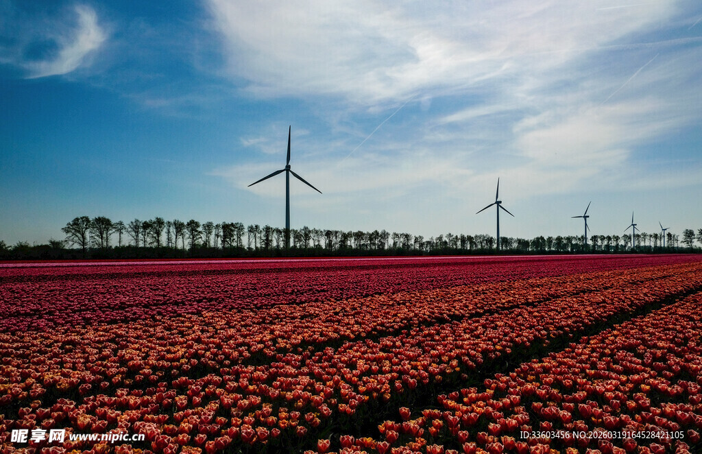 红土地上的风力发电景观