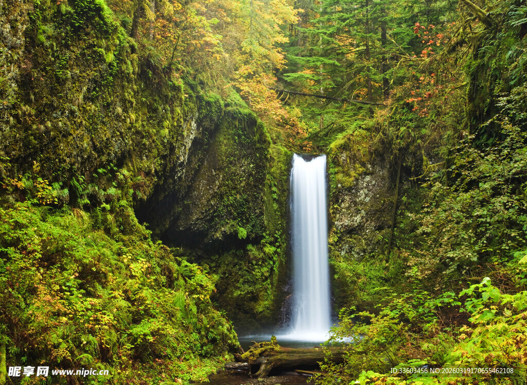 森林中的美丽瀑布景观