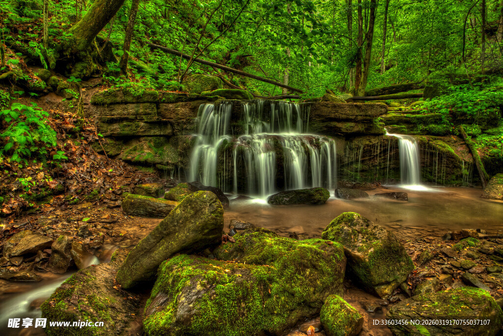 森林中的迷你瀑布景观