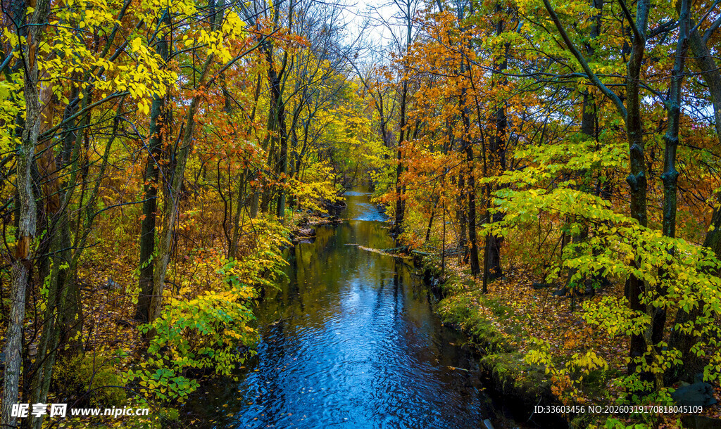 秋日林间潺潺溪流美景