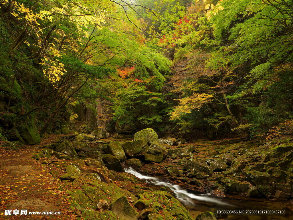 山林间潺潺溪流的自然美景