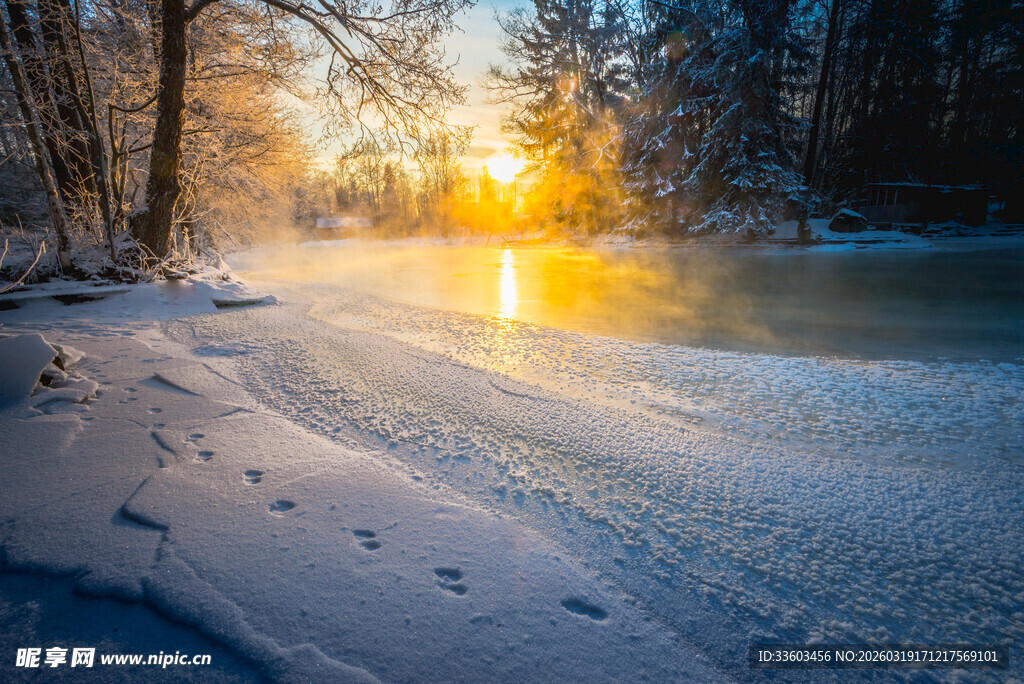 冬日雪林夕阳美景