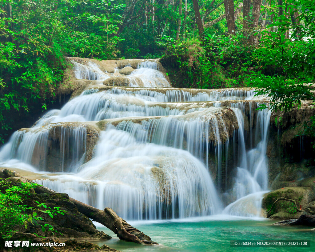森林中的美丽瀑布景观