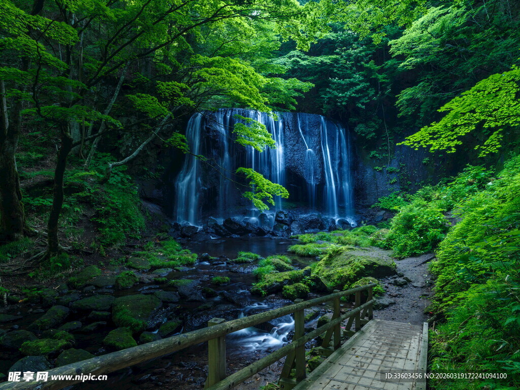 林间瀑布下的清幽小径