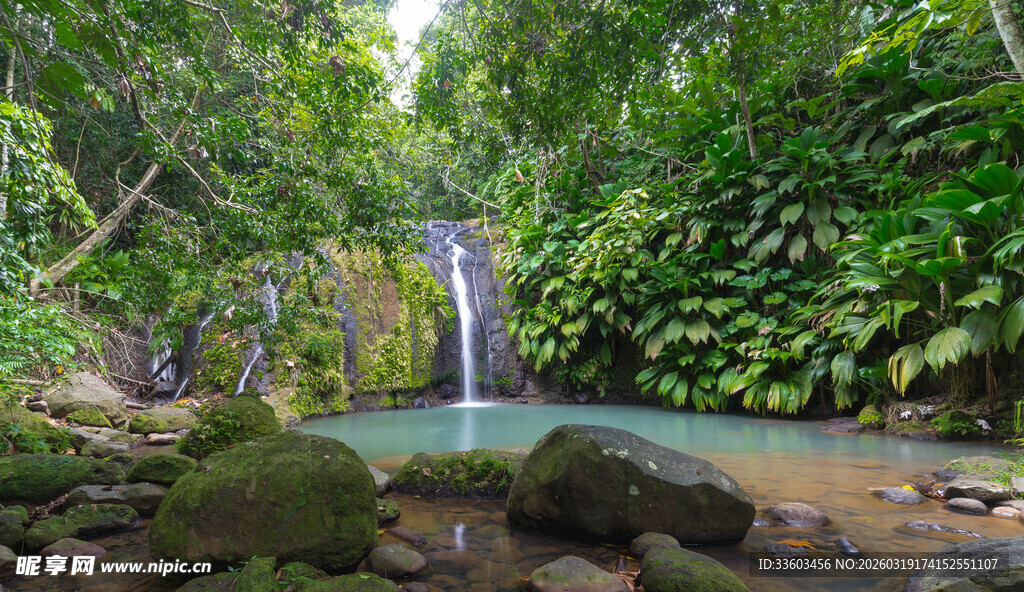 雨林中的清幽小瀑布