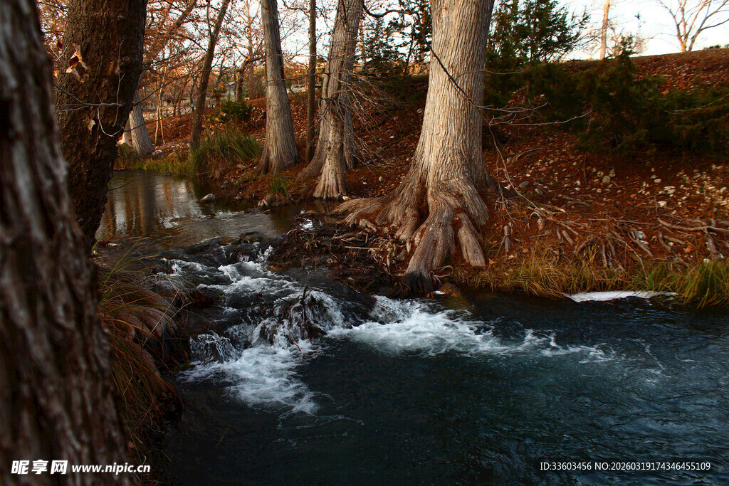 林间溪流潺潺的自然美景