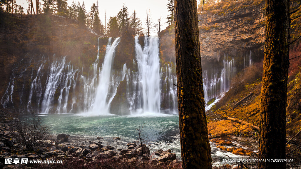 森林中的壮丽瀑布景观