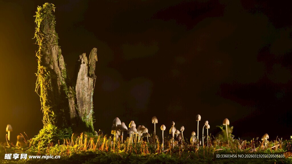 神秘夜幕下的古老石柱景观