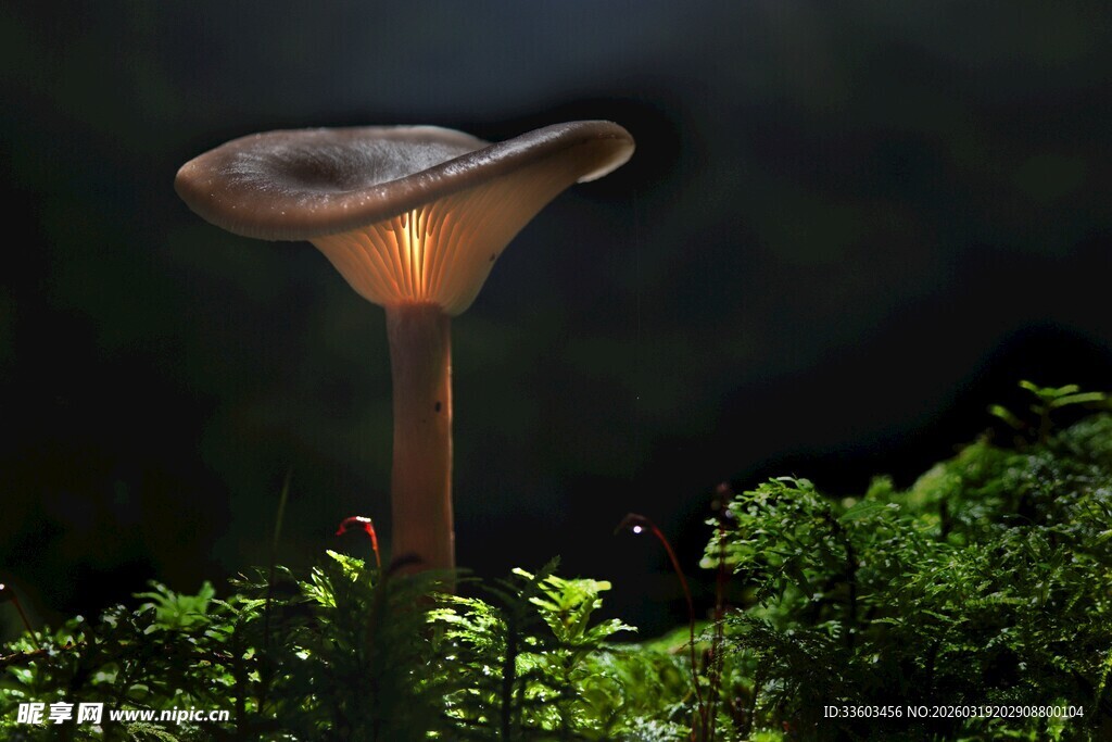 户外创意金属景观灯