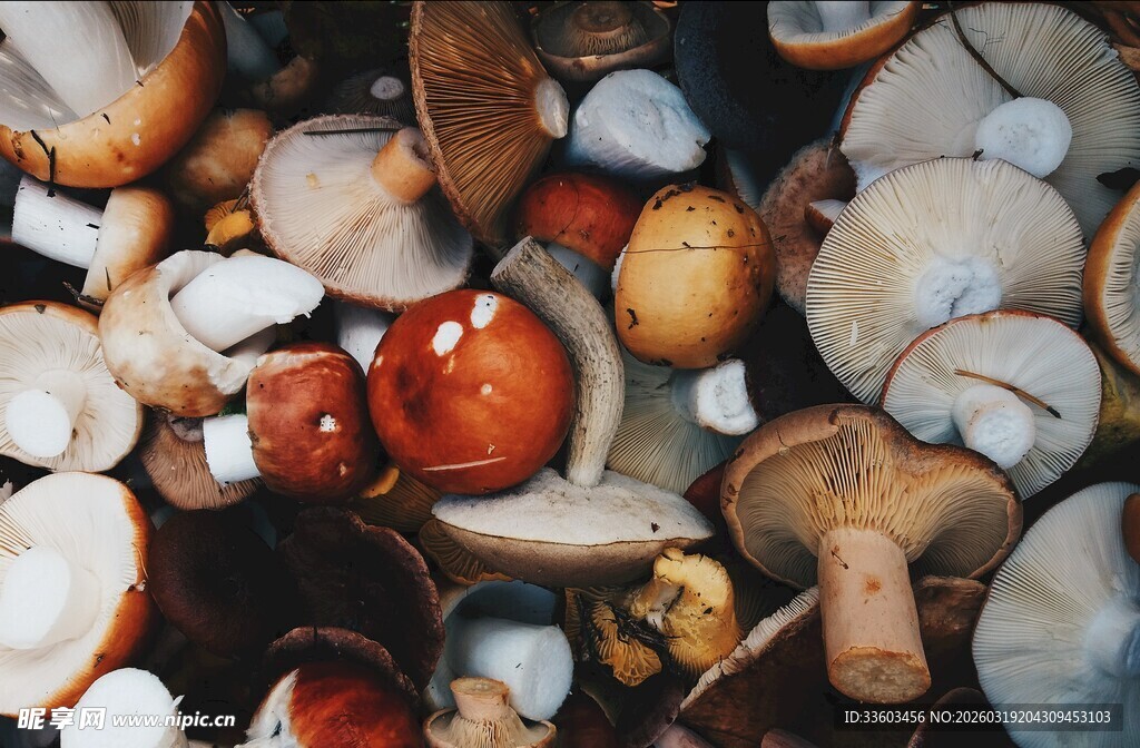 多彩蘑菇堆叠特写